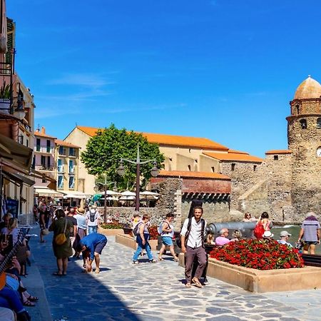 Petit Nid Catalan , 10 Minutes Des Plages Perpignan Ngoại thất bức ảnh